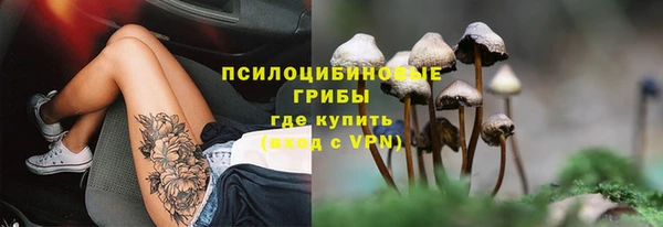 эйфоретик Новозыбков