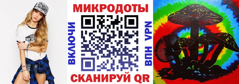 Псилоцибиновые грибы GOLDEN TEACHER  кракен tor  Порхов 